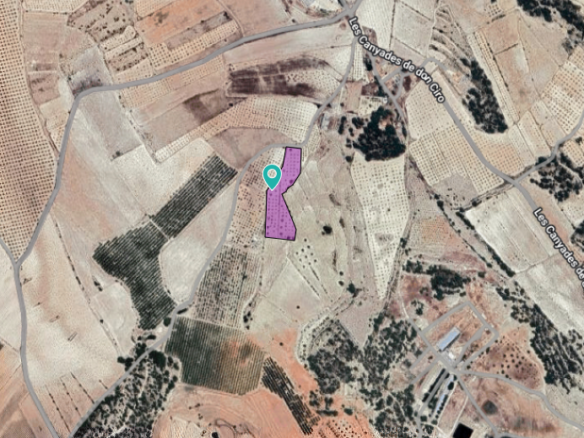 Land in Monóvar/Monóver - Caza De Casa