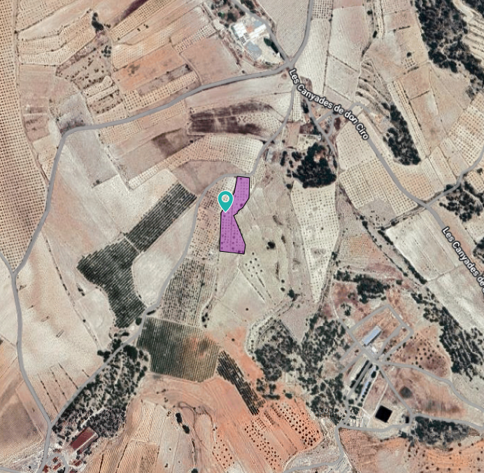Land in Monóvar/Monóver - Caza De Casa