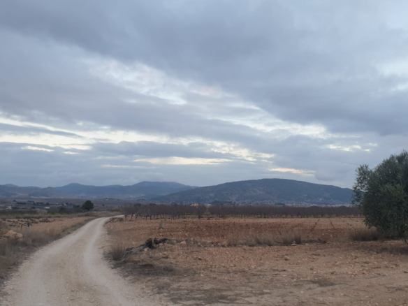 25,200 m² Land in Pinoso - Caza De Casa