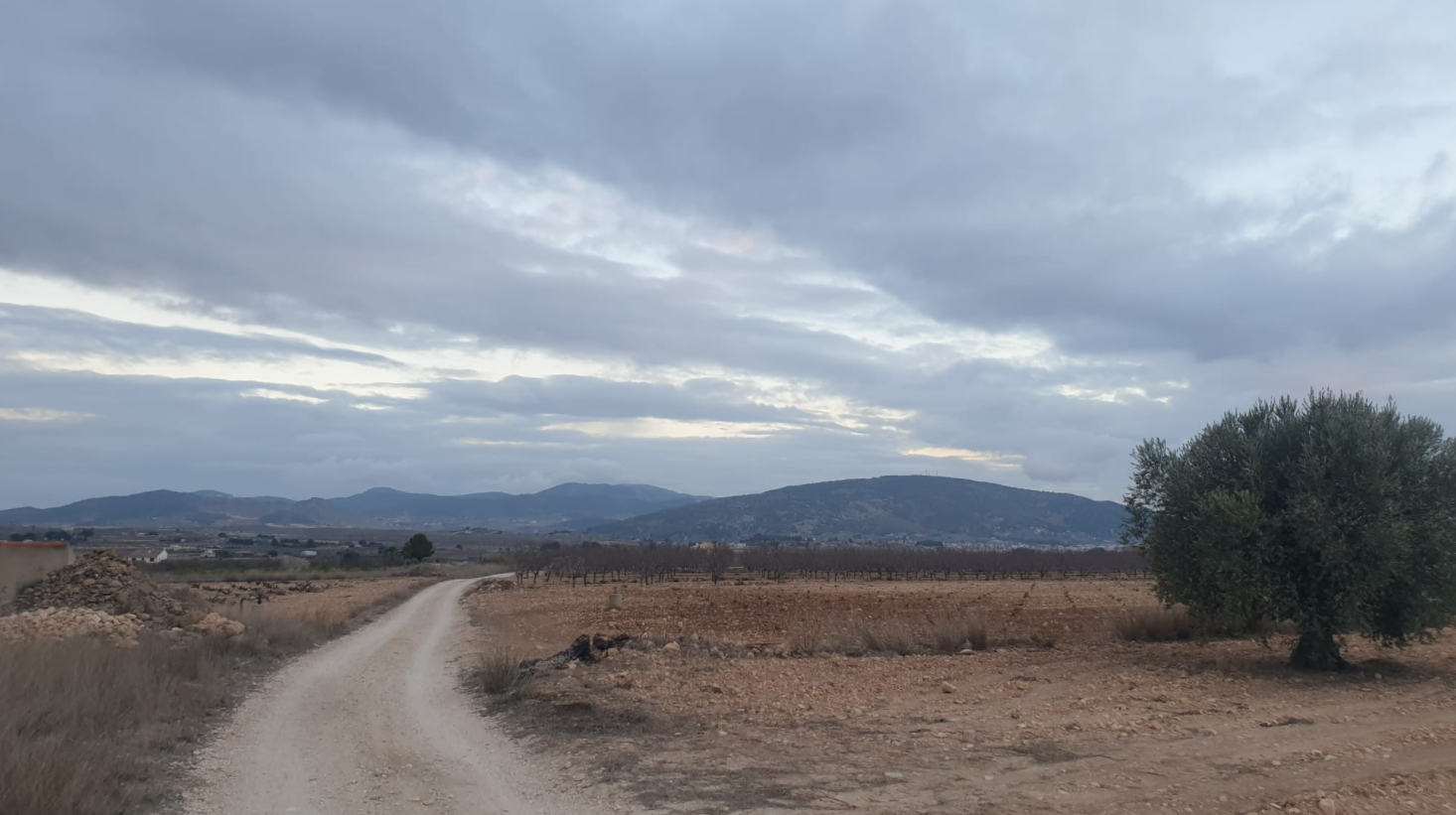 25,200 m² Land in Pinoso - Caza De Casa