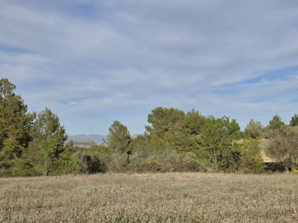 8,802 m² Land in Monóvar/Monóver - Caza De Casa