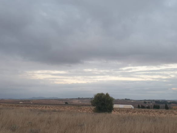 25,200 m² Land in Pinoso - Caza De Casa