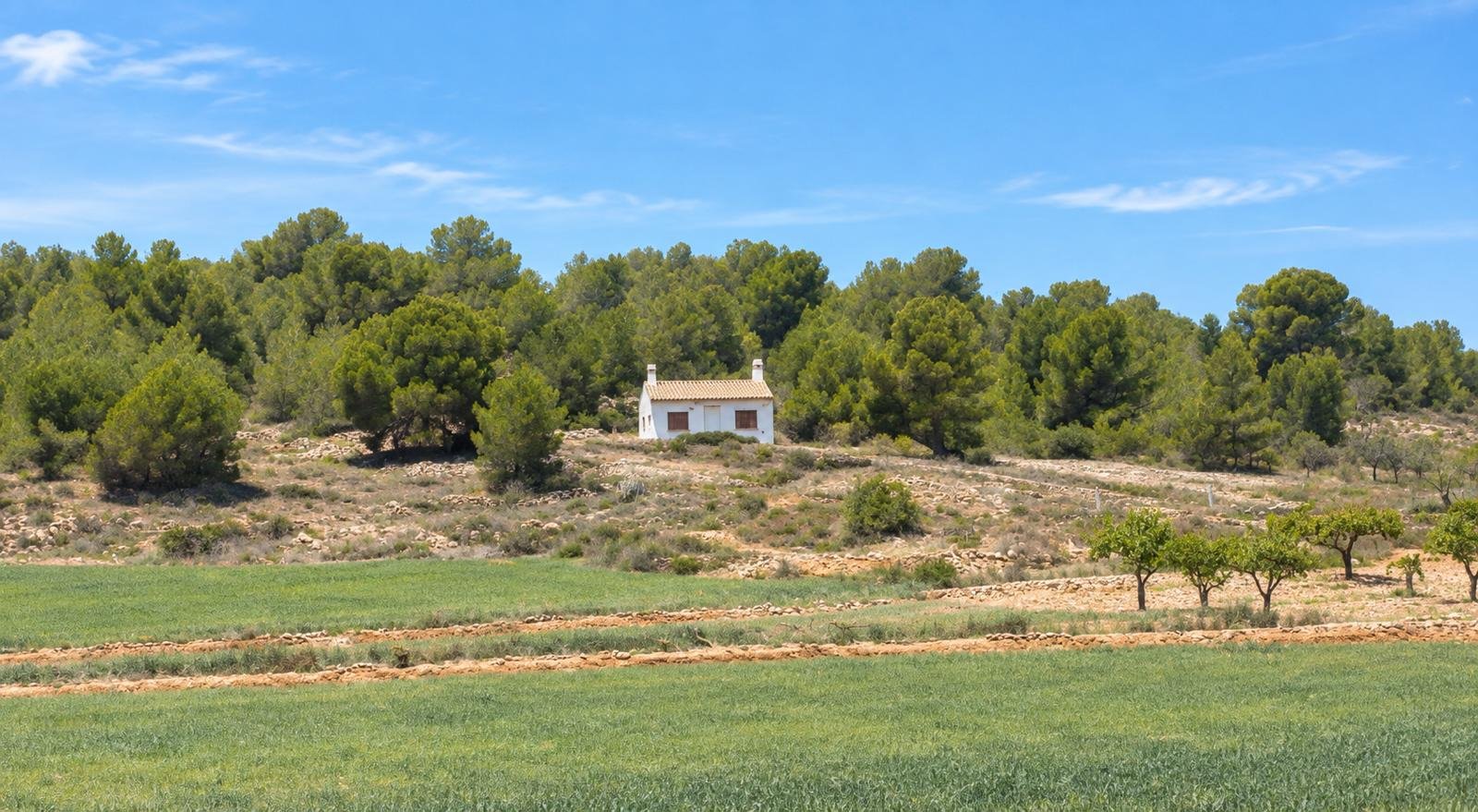 2 Bathroom Country House in Las Encebras - Caza De Casa