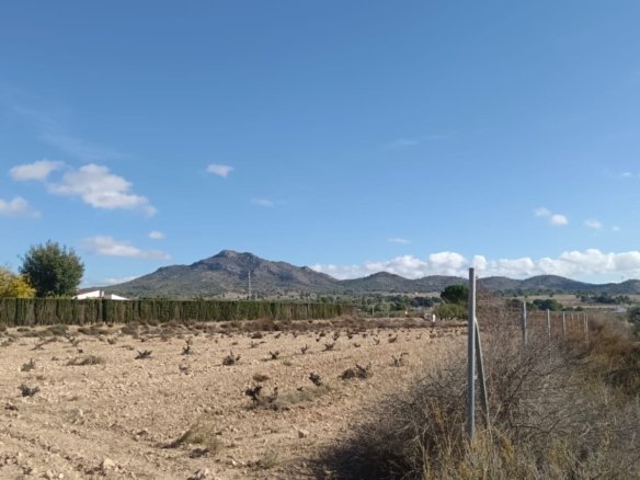 Land in Salinas - Caza De Casa