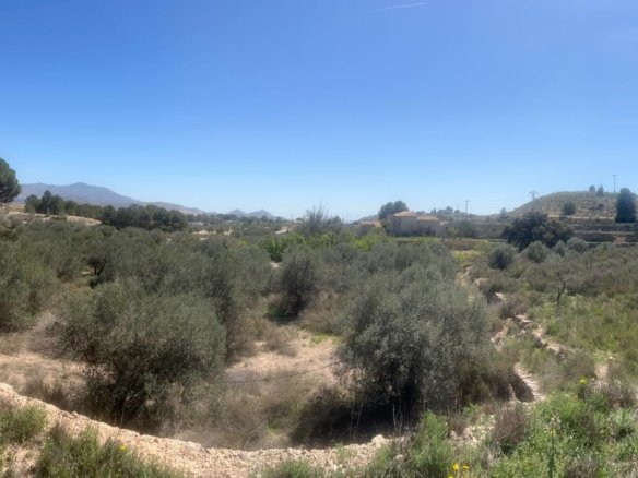 14,358 m² Land in Monóvar/Monóver - Caza De Casa