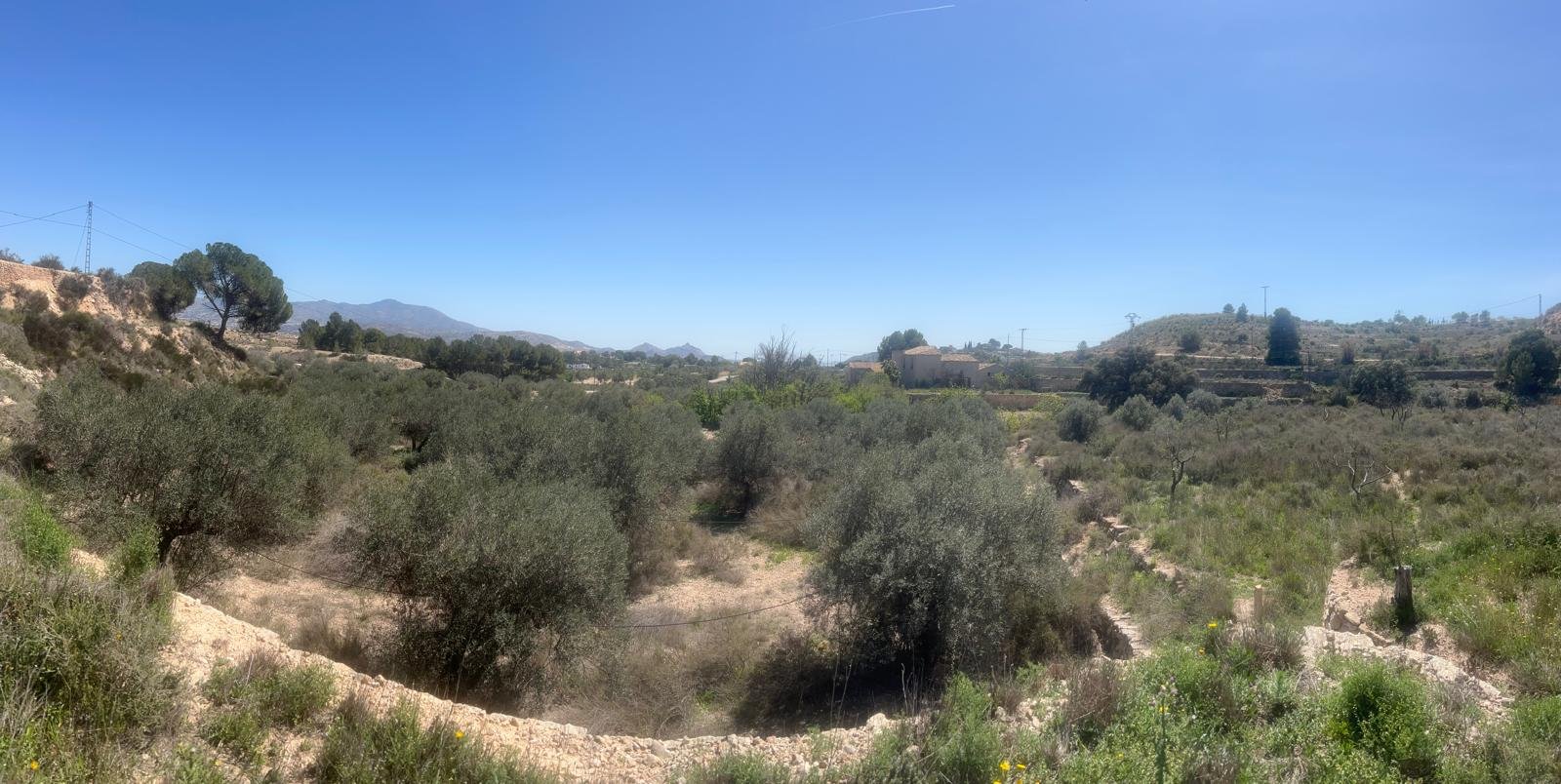 14,358 m² Land in Monóvar/Monóver - Caza De Casa