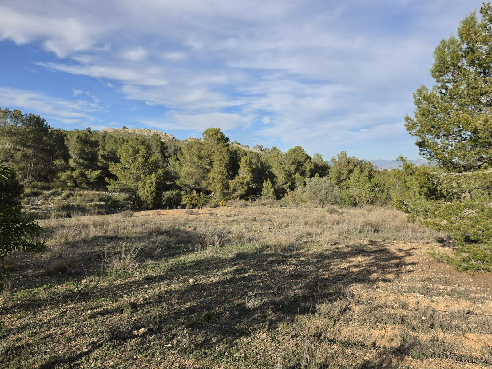 8,802 m² Land in Monóvar/Monóver - Caza De Casa