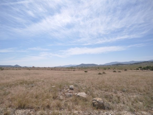 Land in Pinoso - Caza De Casa