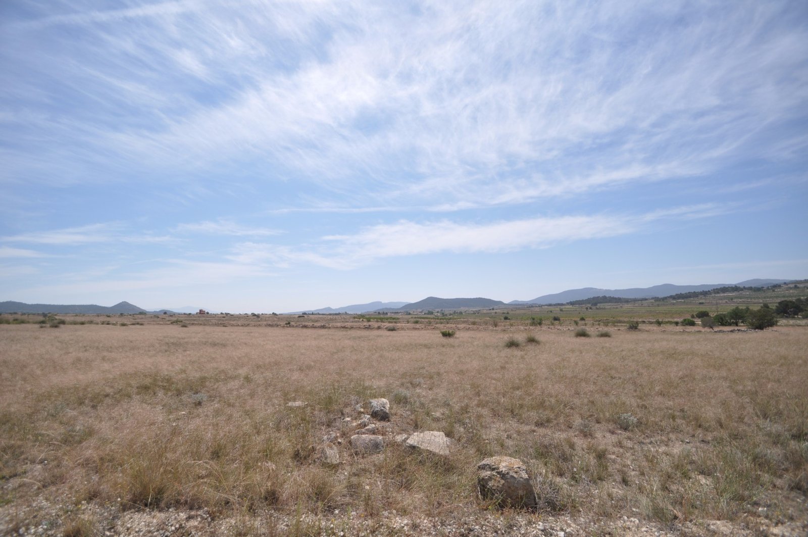 Land in Pinoso - Caza De Casa