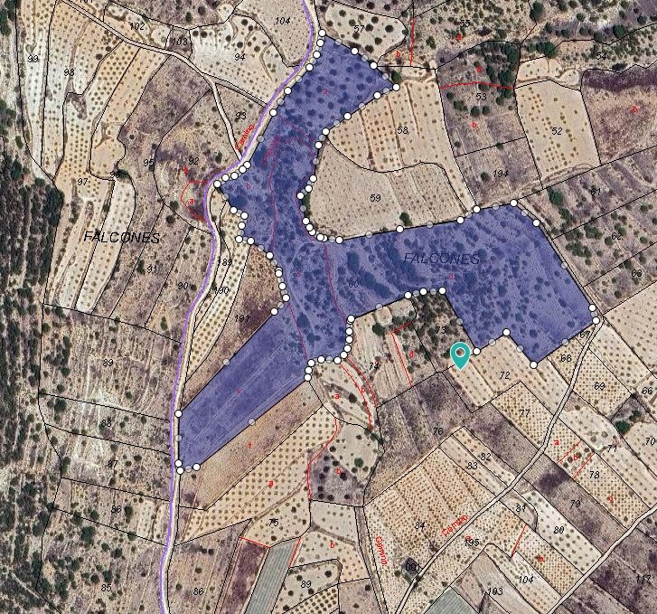 Land in Monóvar/Monóver - Caza De Casa