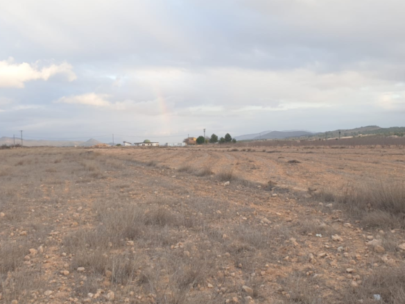 Land in Pinoso - Caza De Casa