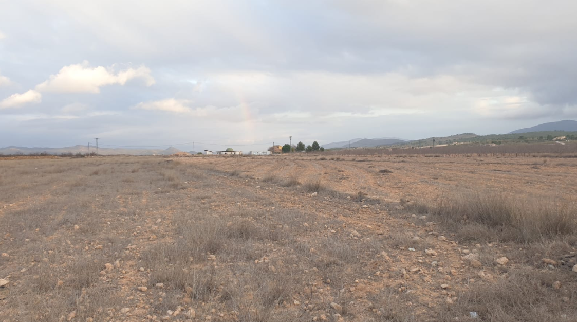 Land in Pinoso - Caza De Casa