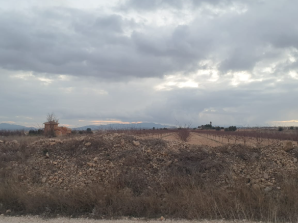 9,908 m² Land in Pinoso - Caza De Casa