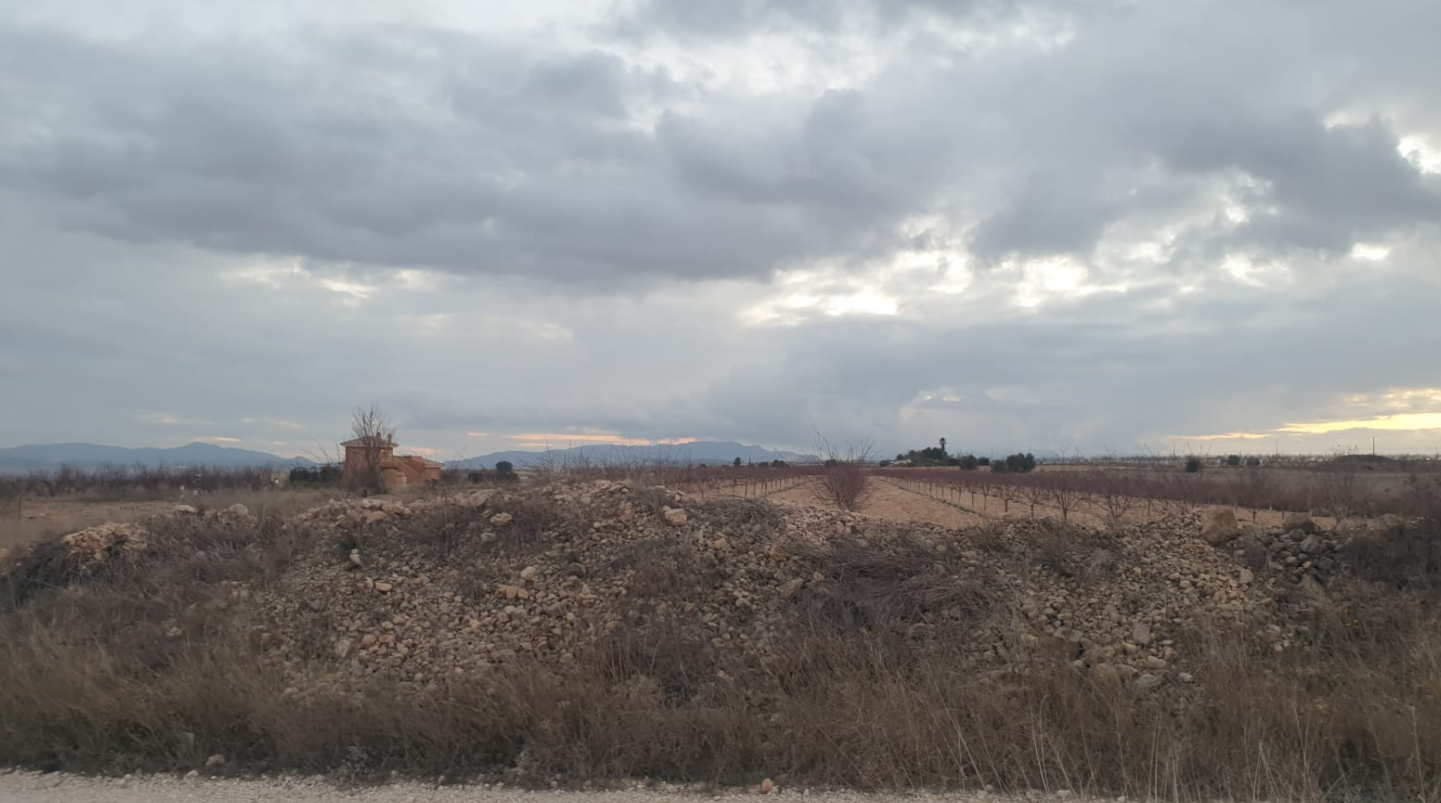 9,908 m² Land in Pinoso - Caza De Casa