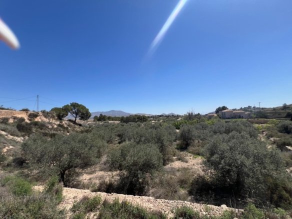 Land in Monóvar/Monóver - Caza De Casa