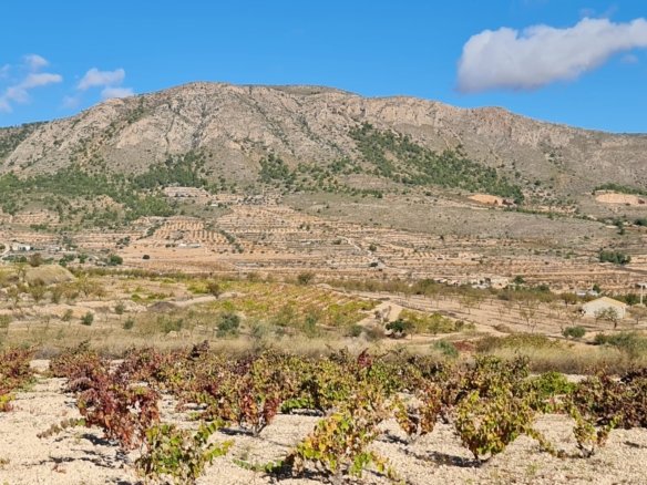 Land in La Romana - Caza De Casa