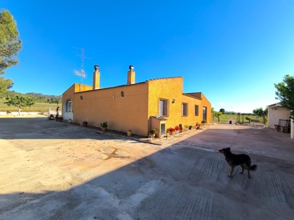 4 Bed 2 Bath Country House in Yecla - Caza De Casa