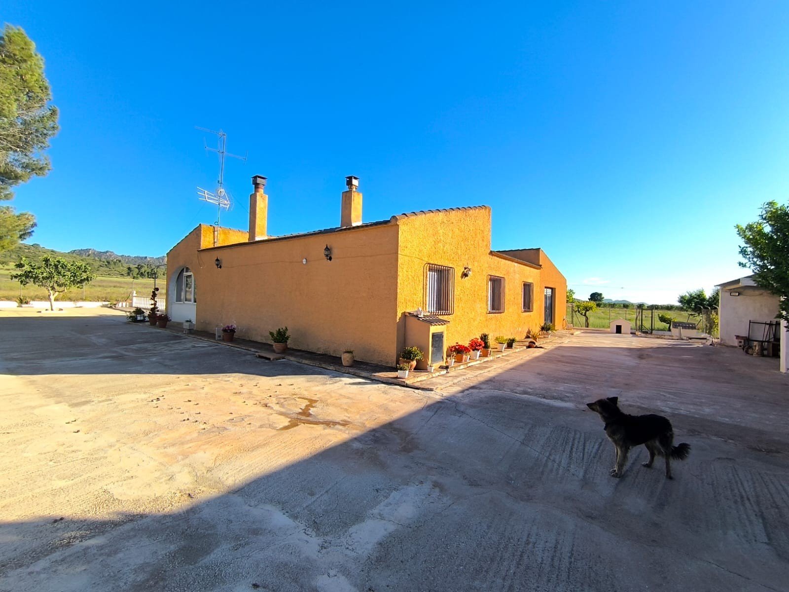 4 Bed 2 Bath Country House in Yecla - Caza De Casa