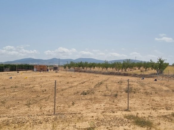 Land in Yecla - Caza De Casa