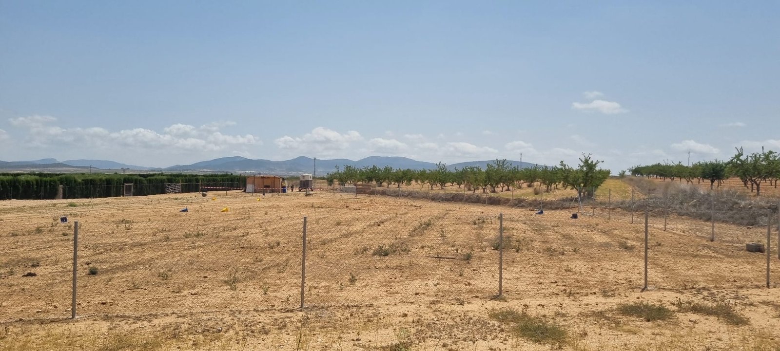 Land in Yecla - Caza De Casa