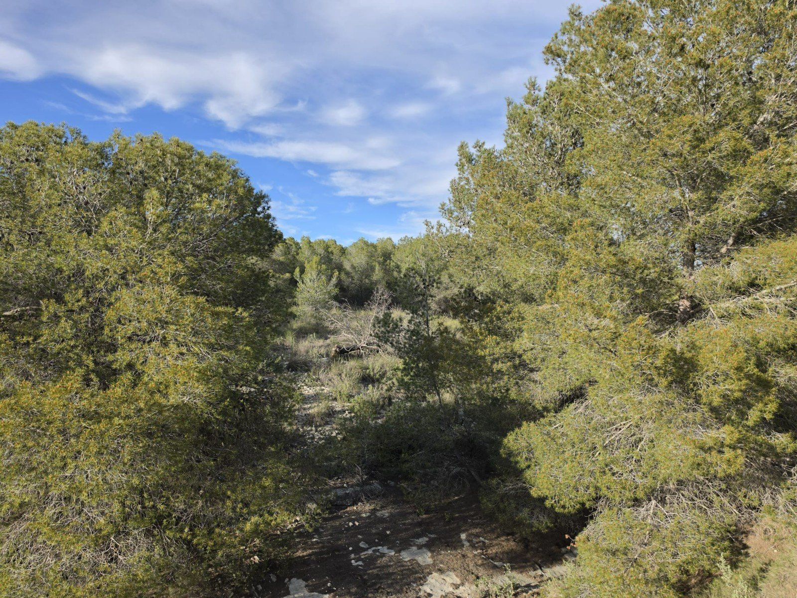 8,802 m² Land in Monóvar/Monóver - Caza De Casa
