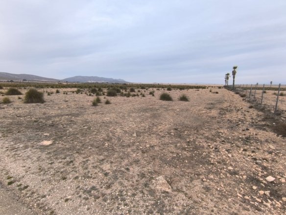95,000 m² Land in Yecla - Caza De Casa