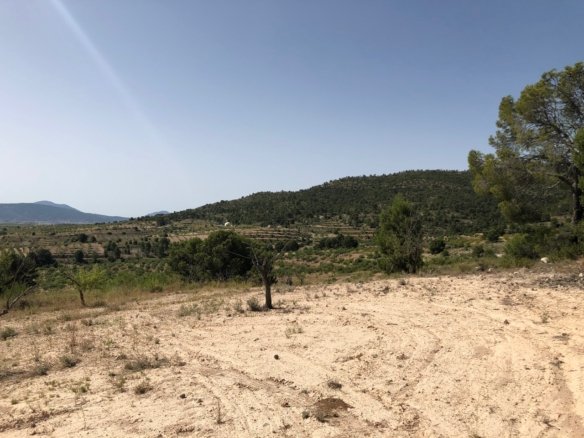 31,486 m² Land in Yecla - Caza De Casa