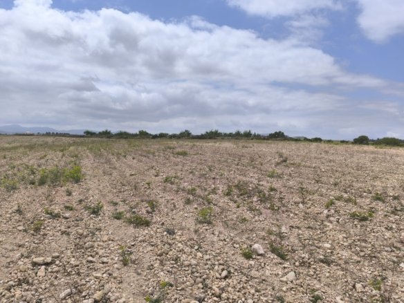 29,575 m² Land in Pinoso - Caza De Casa