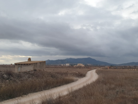9,908 m² Land in Pinoso - Caza De Casa