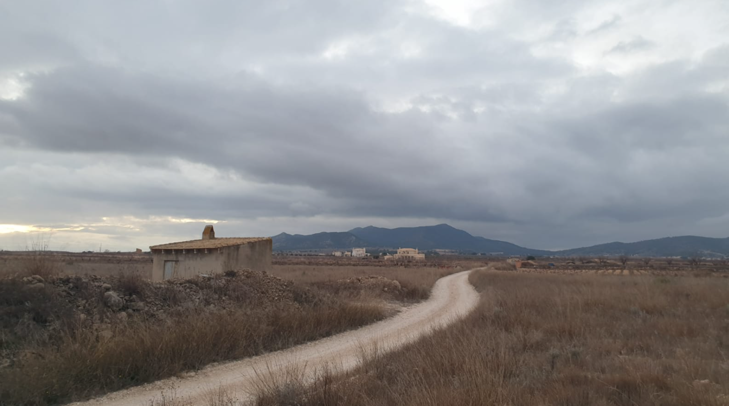 9,908 m² Land in Pinoso - Caza De Casa