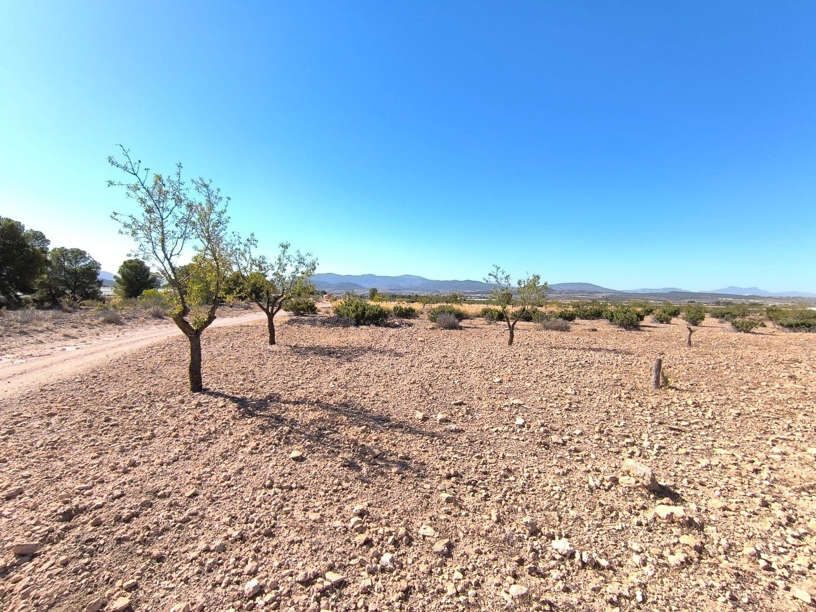 9,044 m² Land in Monóvar/Monóver - Caza De Casa