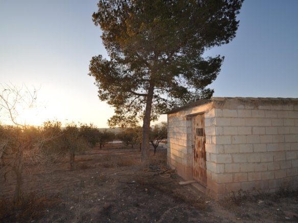 13,020 m² Land in Pinoso - Caza De Casa