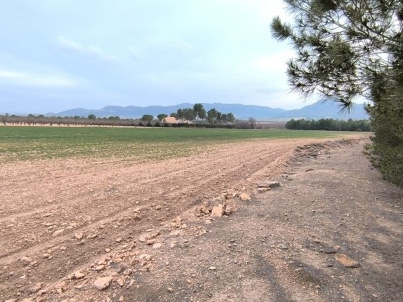 19,000 m² Land in Yecla - Caza De Casa