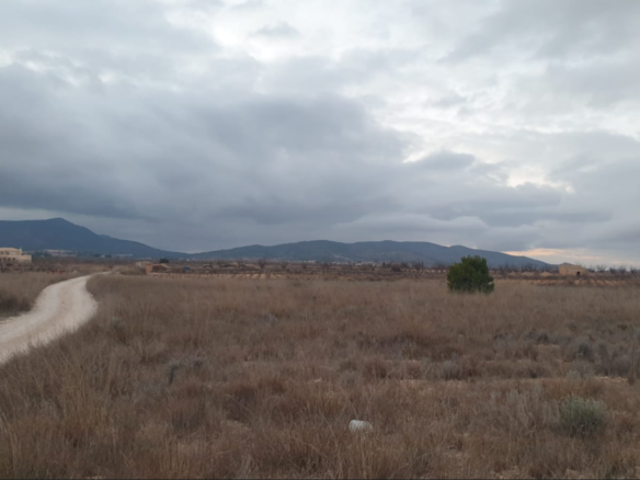 9,908 m² Land in Pinoso - Caza De Casa