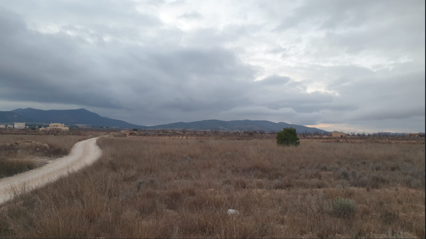 9,908 m² Land in Pinoso - Caza De Casa