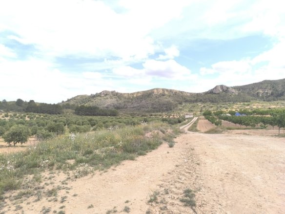 2 Bedroom Finca in Jumilla - Caza De Casa
