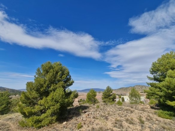 Land in Pinoso - Caza De Casa