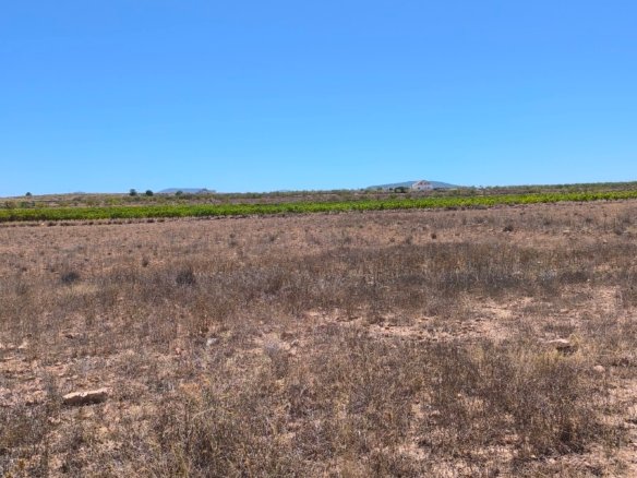 30,552 m² Land in Pinoso - Caza De Casa