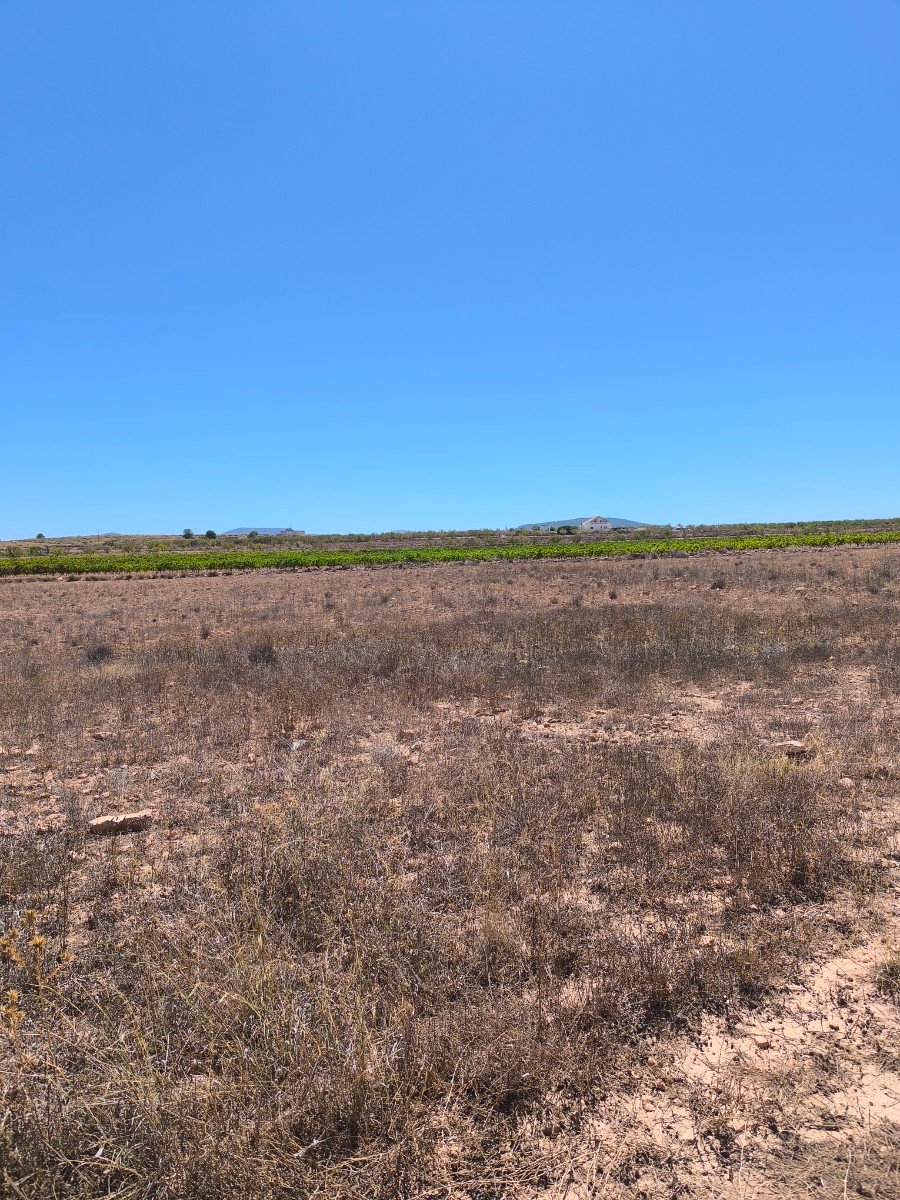30,552 m² Land in Pinoso - Caza De Casa