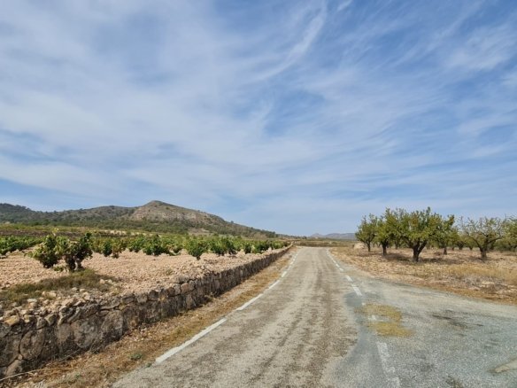 Land in Abanilla - Caza De Casa