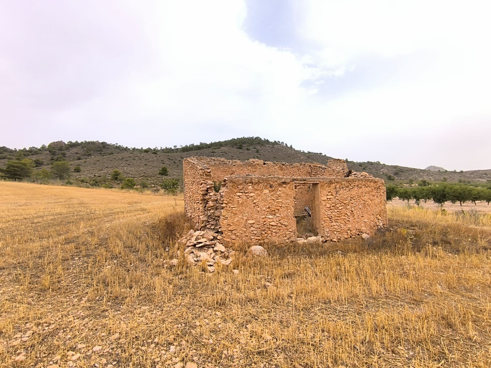 Land in Yecla - Caza De Casa