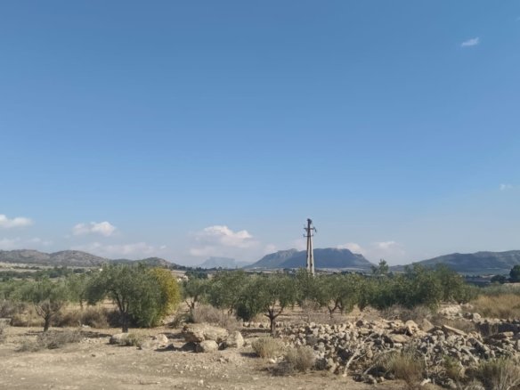 24,596 m² Land in Salinas - Caza De Casa