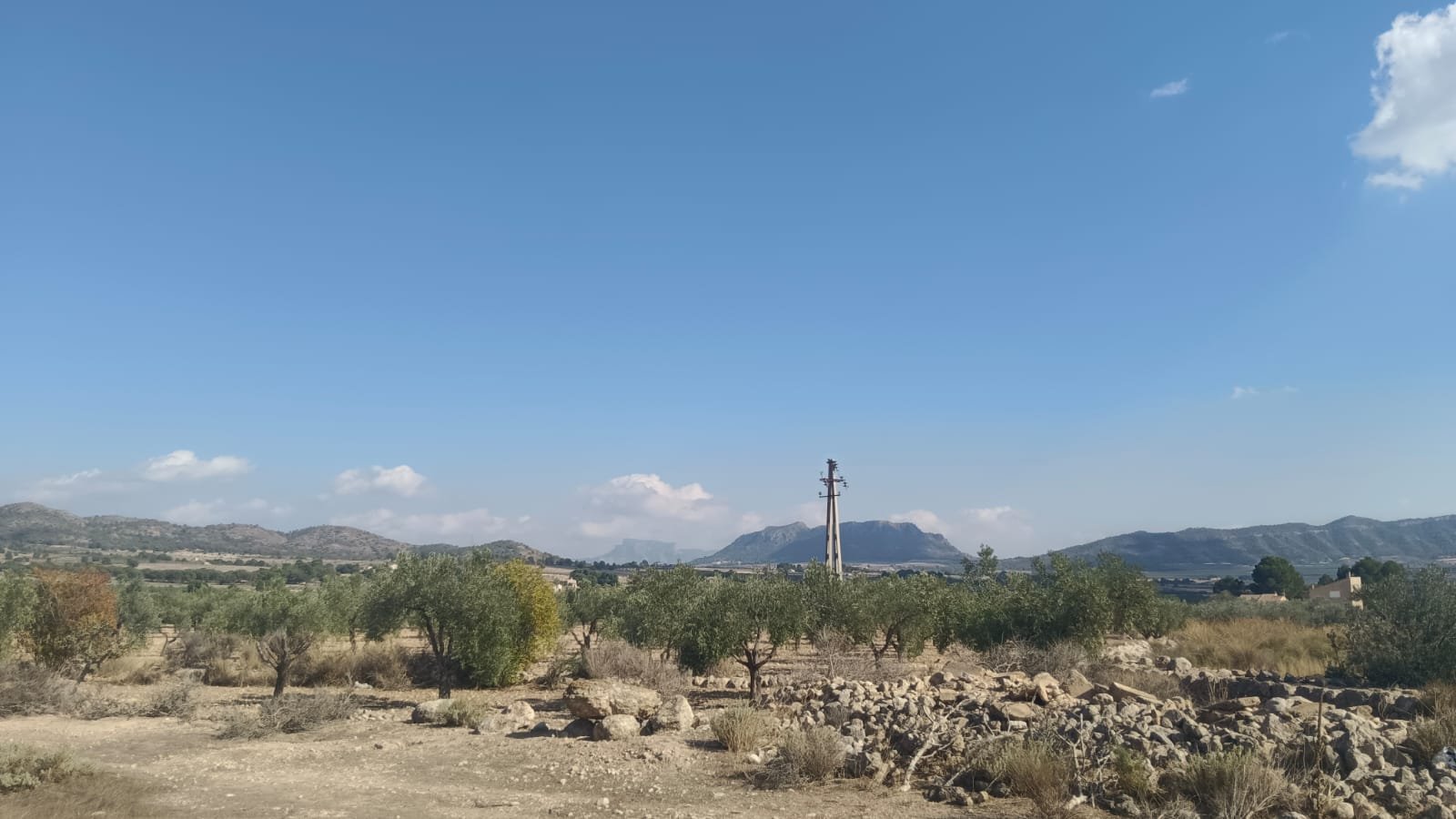 24,596 m² Land in Salinas - Caza De Casa