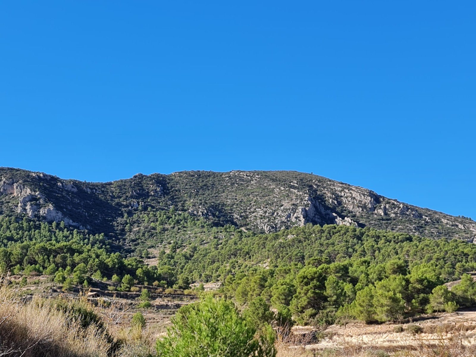 Land in La Romana - Caza De Casa