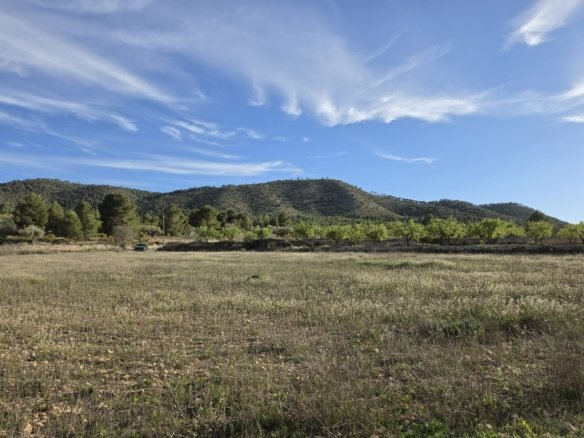 Land in Monóvar/Monóver - Caza De Casa