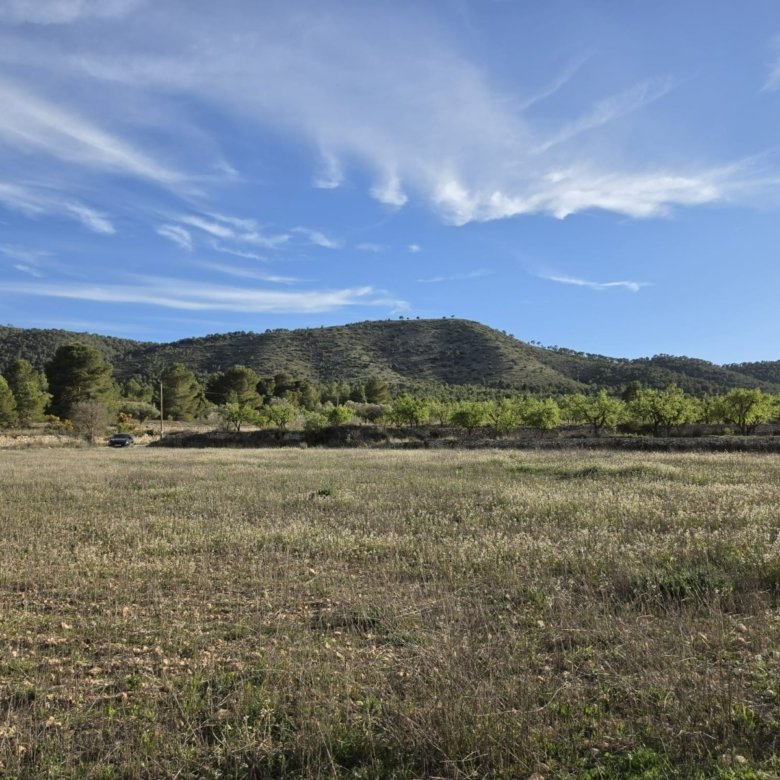 8,802 m² Land in Monóvar/Monóver - Caza De Casa
