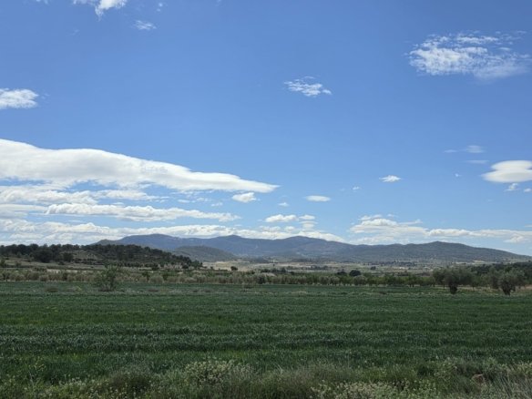 Land in Monóvar/Monóver - Caza De Casa