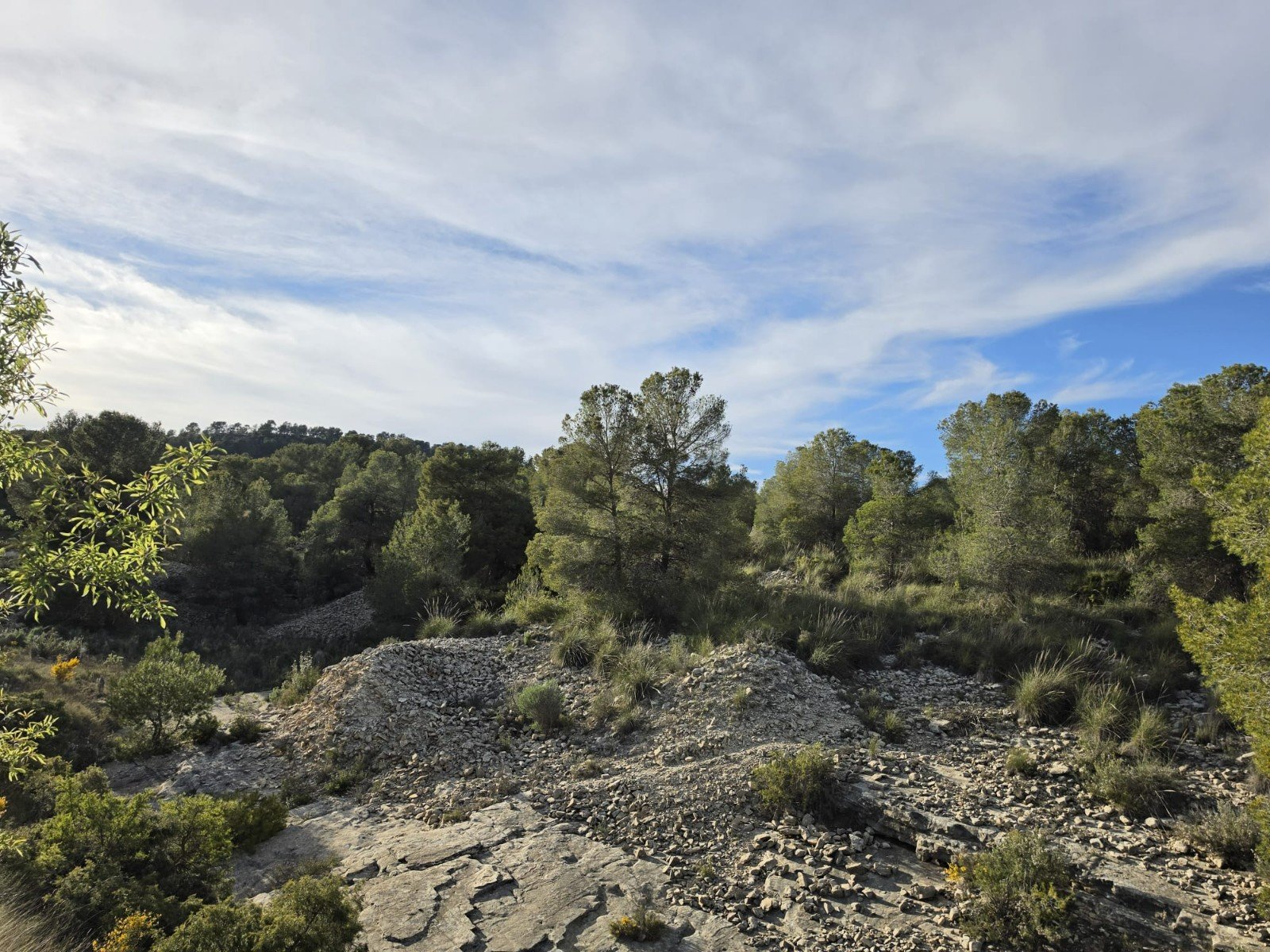 8,802 m² Land in Monóvar/Monóver - Caza De Casa