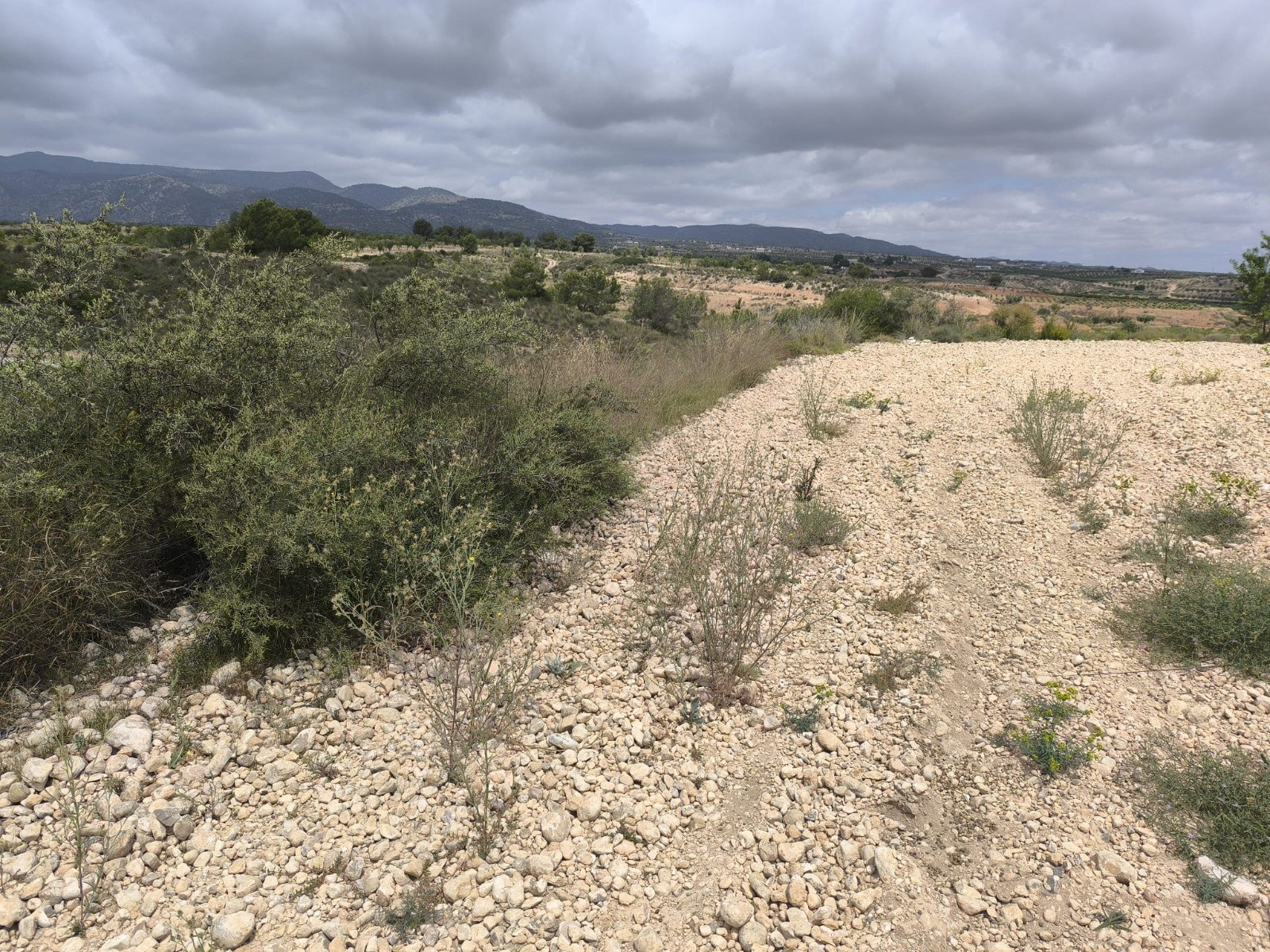 29,575 m² Land in Pinoso - Caza De Casa
