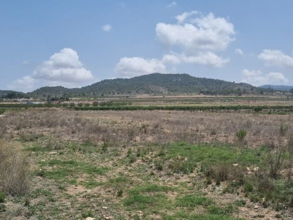 Land in Pinoso - Caza De Casa